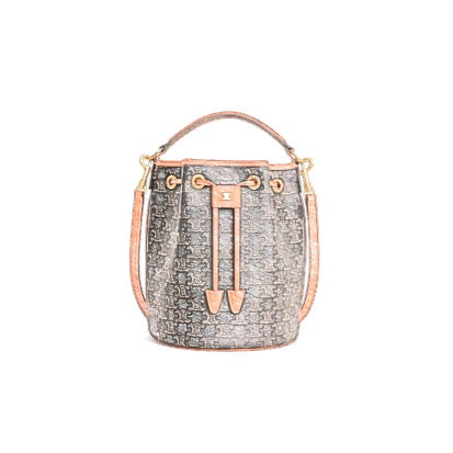 Inner Bag Organizer - Celine Clara bag in Triomphe canvas and calfskin