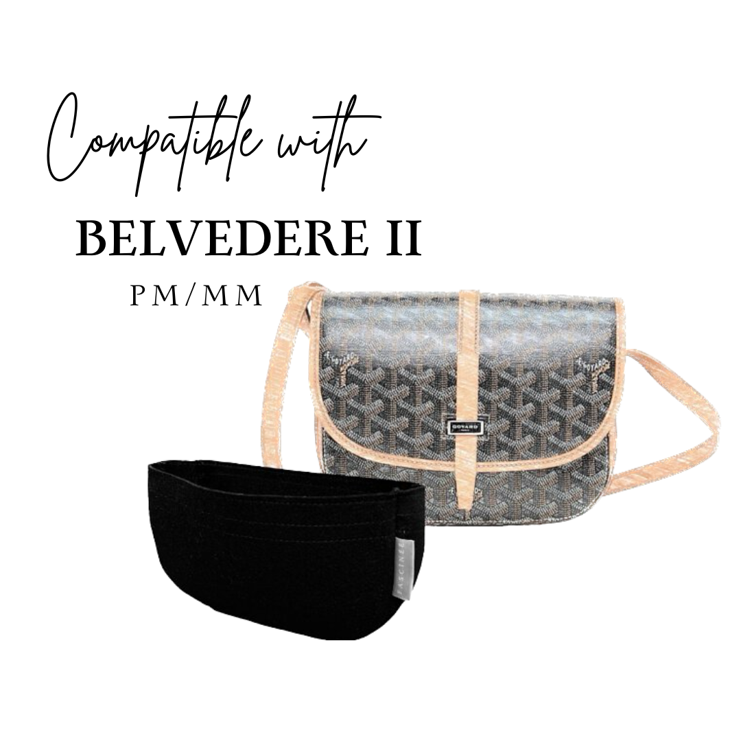 Goyard belvedere pm online size