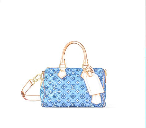 Inner Bag Organizer - LV Speedy P9 Bandoulière 25 (M24443/M24423/M24424/M24425/M24426)