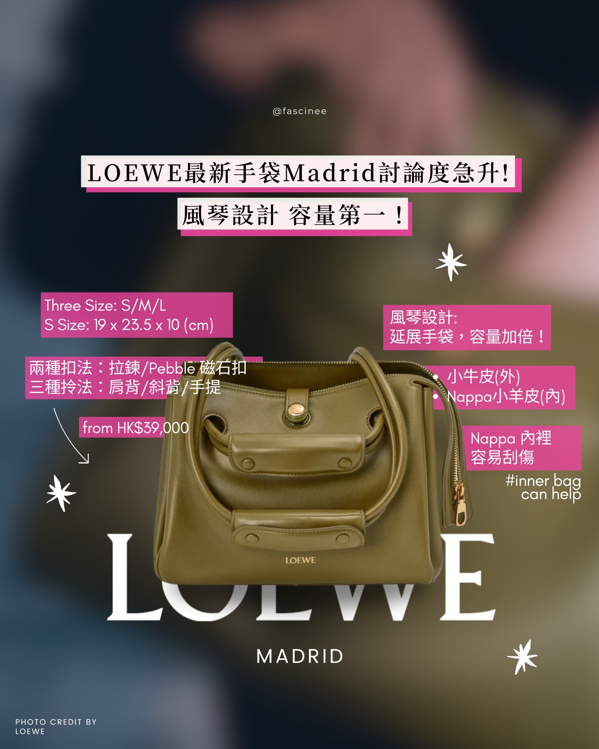 Inner Bag Organizer - Loewe Madrid | 3 Sizes