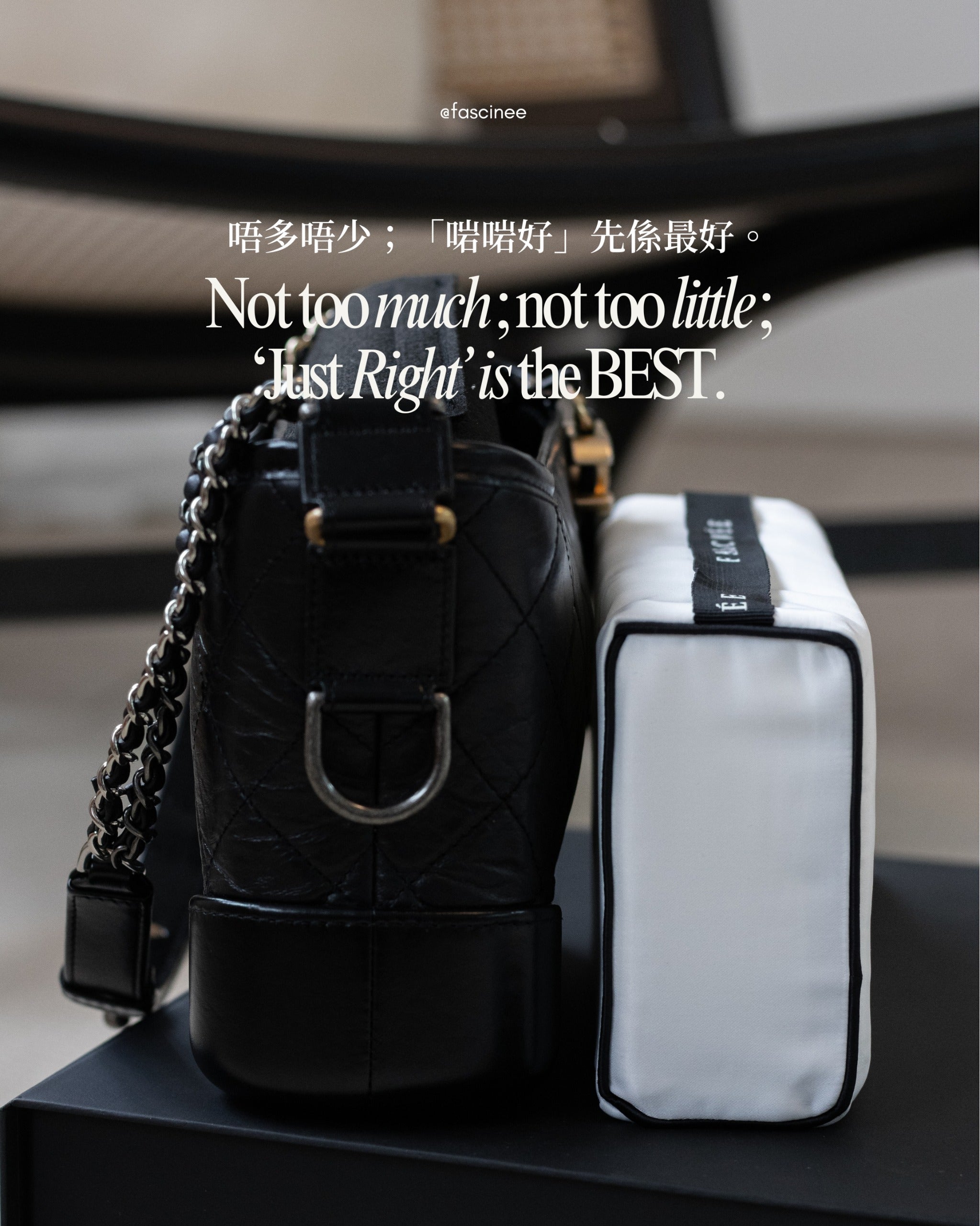 Cubi⢠Bag Pillow - Chanel Gabrielle Hobo | 4 sizes