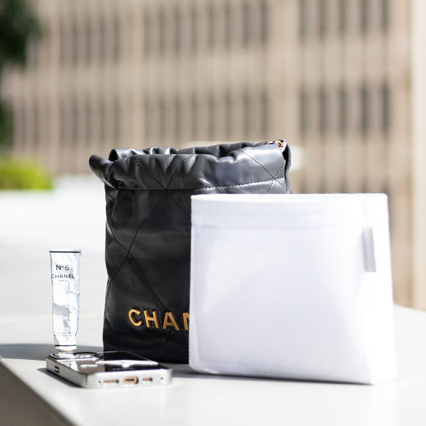 Chanel 22 mini with bag organiser