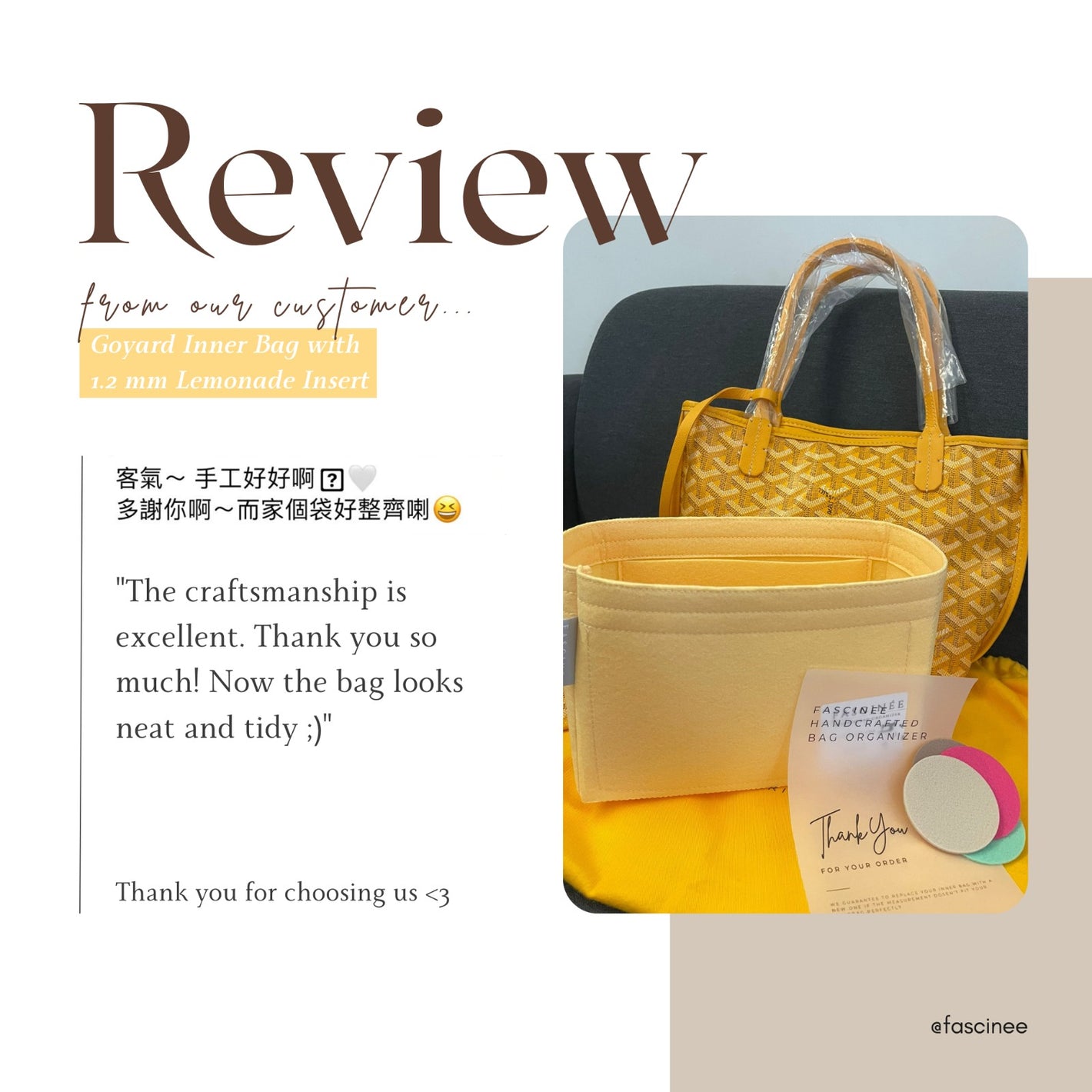Bag Organizer- Compatible with Loop Hobo (M46311), Made in Hong Kong, Fascinee