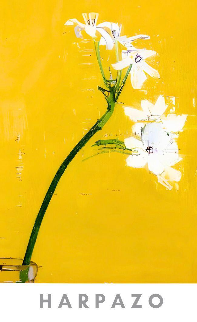 HARPOZO x FASCINEE - 「111」小雛菊 佛手柑